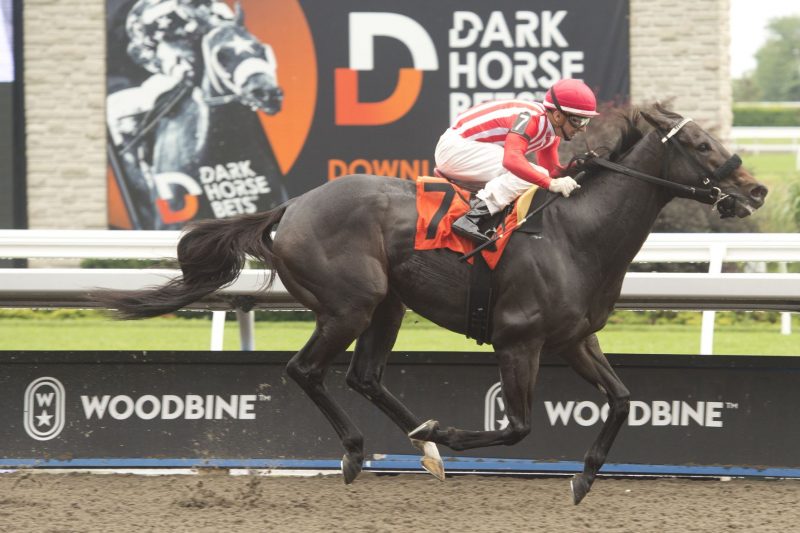 Schickedanz-owned Cotton and Rafael Hernandez winning Race 8 on July 15, 2023 at  Woodbine (Michael Burns Photo)