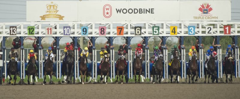 Horses break from the gate for the start of the 2021 Queen's Plate, the first leg of the OLG Canadian Triple Crown.