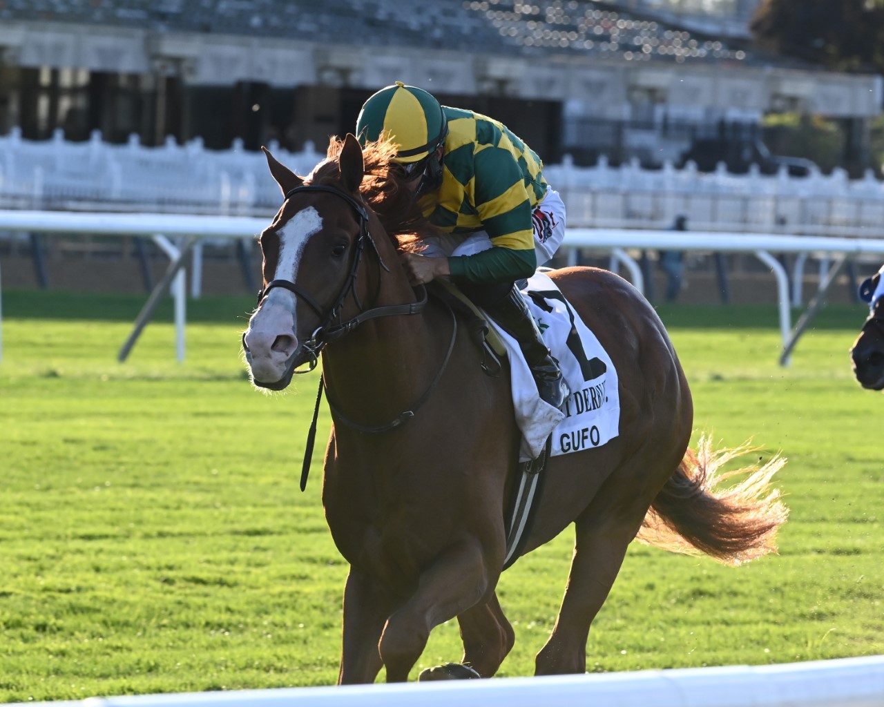 Bettors’ Delight: Belmont Park serves up five graded stakes Saturday ...