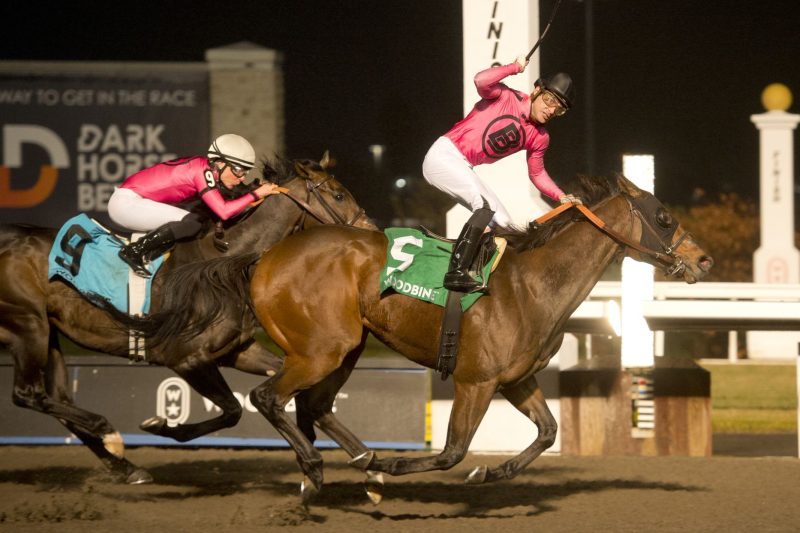 Sahin Civaci and Candy Overload winning the Kennedy Road Stakes on November 27, 2022 at Woodbine