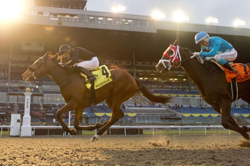 Sahin Civaci and Il Malocchio winning the Maple Leaf Stakes on November 12, 2022 at Woodbine