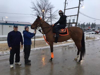 Ms Vancouver readies for her morning workout with rider Noel David and groom Jason Midgley, as she prepares for the upcoming 2022 season at Woodbine. (Supplied)