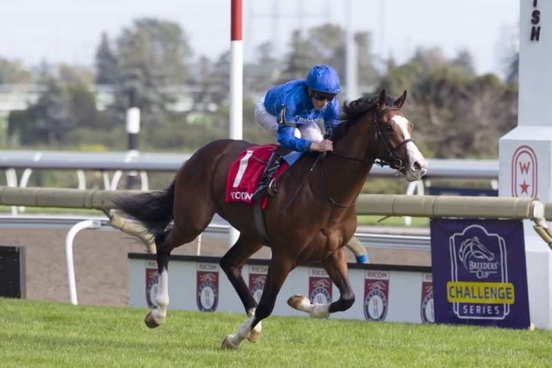Mysterious Night (IRE) winning the Pattinson Summer Stakes on Saturday at Woodbine 