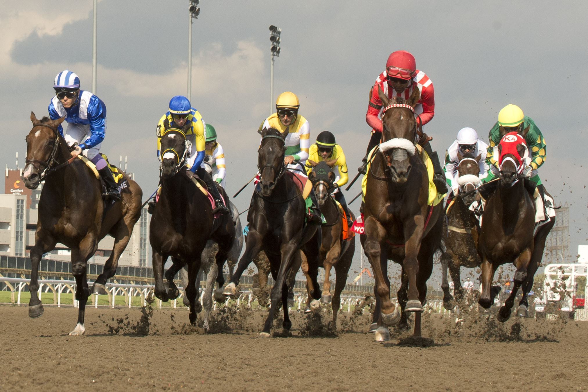 A note from Woodbine’s Thoroughbred Racing Department Woodbine Racetrack