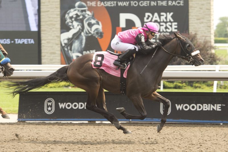 One More Brew and jockey Sofia Vives winning Race 4 on July 16, 2023 at Woodbine (Michael Burns Photo)