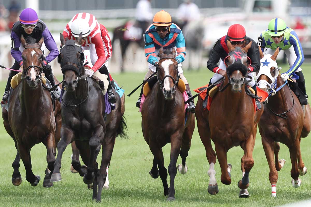 Racing action at Ricoh Woodbine Mile at Woodbine Racetrack