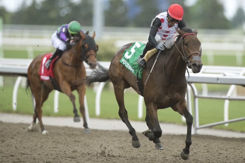 Ryder Ryder Ryder and jockey Patrick Husbands winning the Ruling Angel Stakes Presented by Ketel One on May 20, 2023 at Woodbine (Michael Burns Photo)