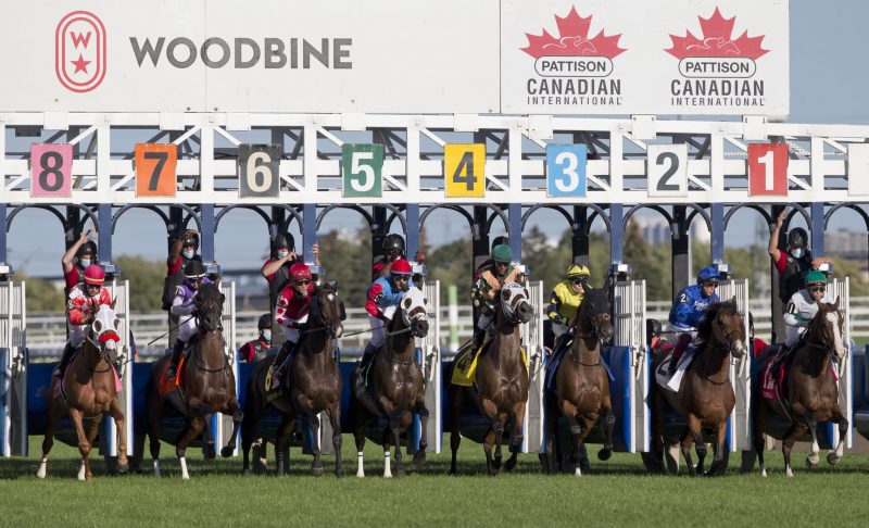 The gate opening for the running of the 2021 Canadian International at Woodbine (Michael Burns Photo)