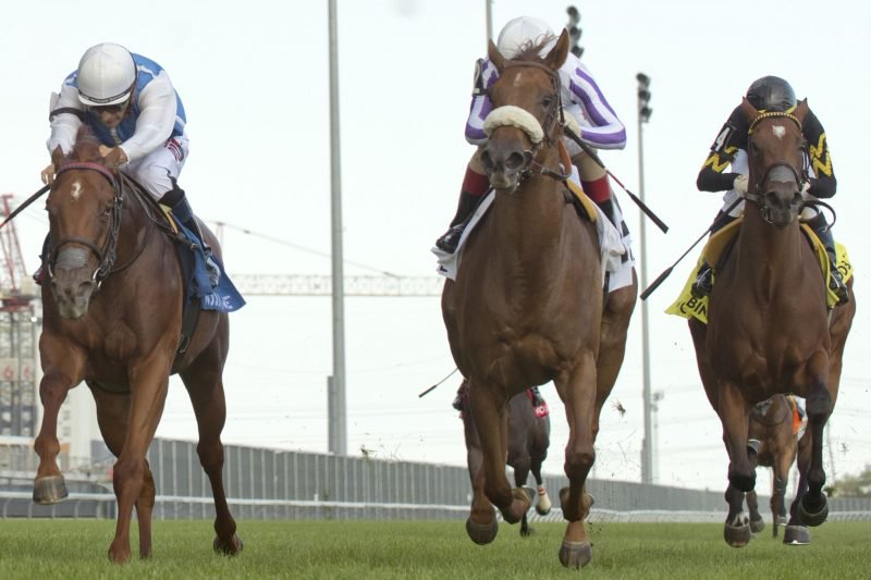 Alda, sister of Serifos, and jockey Steven Bahan winning the Catch A Glimpse Stakes in 2020 at Woodbine 