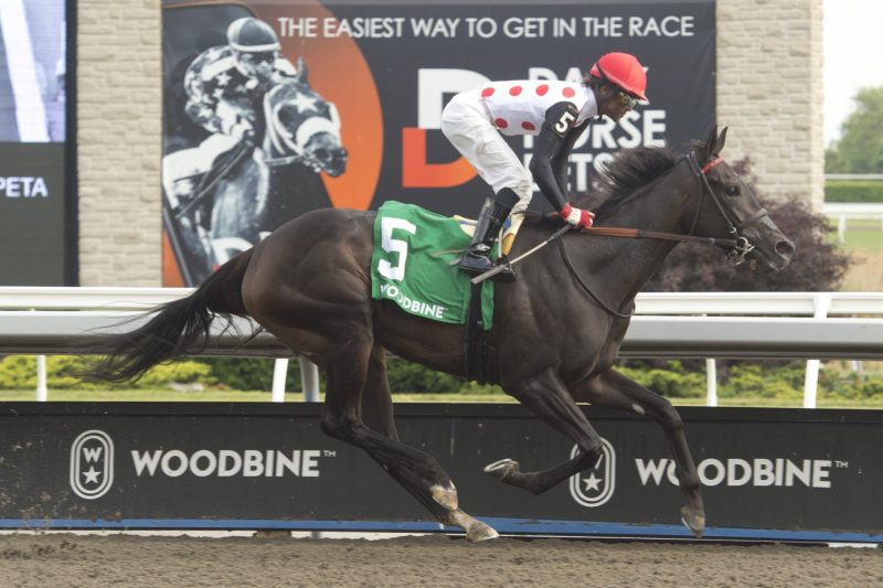 Ticker Tape and jockey Patrick Husbands winning the Fury Stakes on June 10, 2023 at Woodbine (Michael Burns Photo)