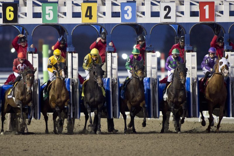 Woodbine cancels remainder of Sunday's live racing