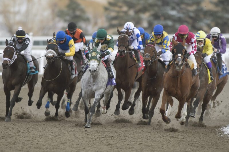 Race 6 on closing day at Woodbine (Michael Burns Photo)