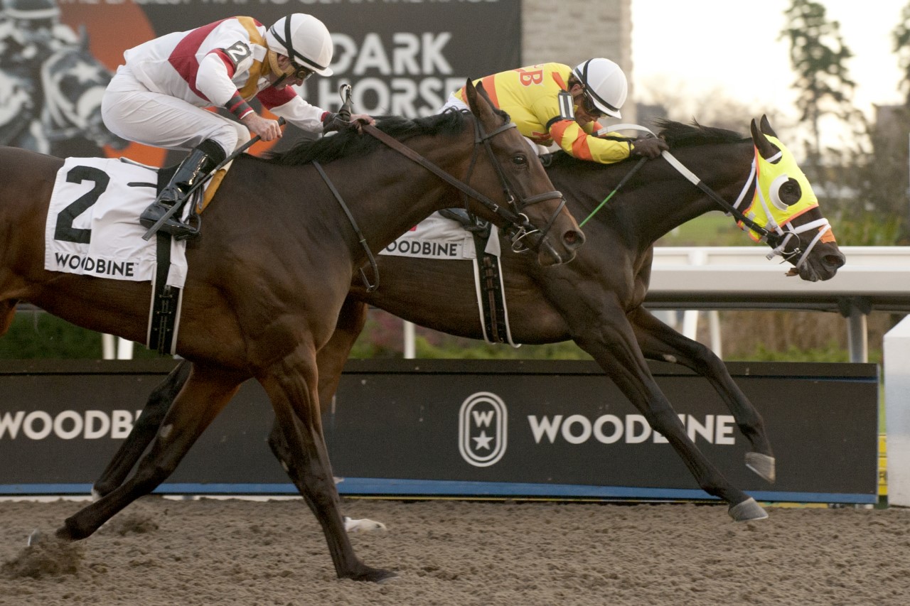 Velocitor digs in for Coronation Futurity win - Woodbine Racetrack