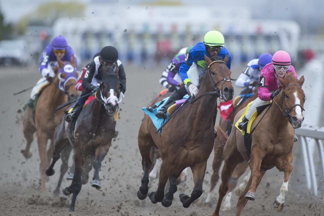 Expert Picks Saturday, April 29, 2023 Woodbine Racetrack