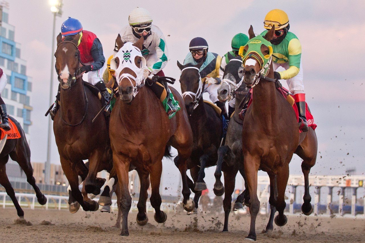 Ontario Sire Heritage Series wraps up with Ashbridges Bay and Lake ...
