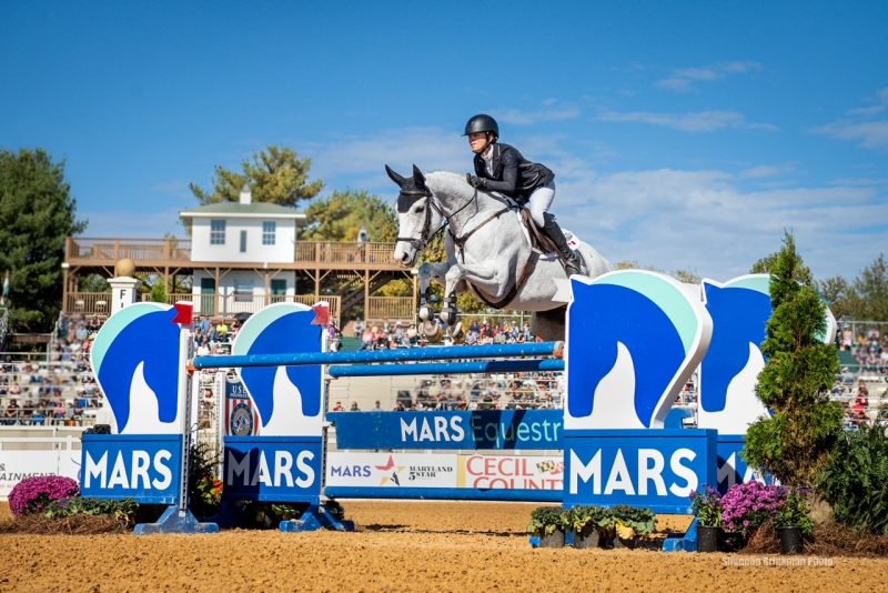 Wabbit in a show jumping competion (2022)