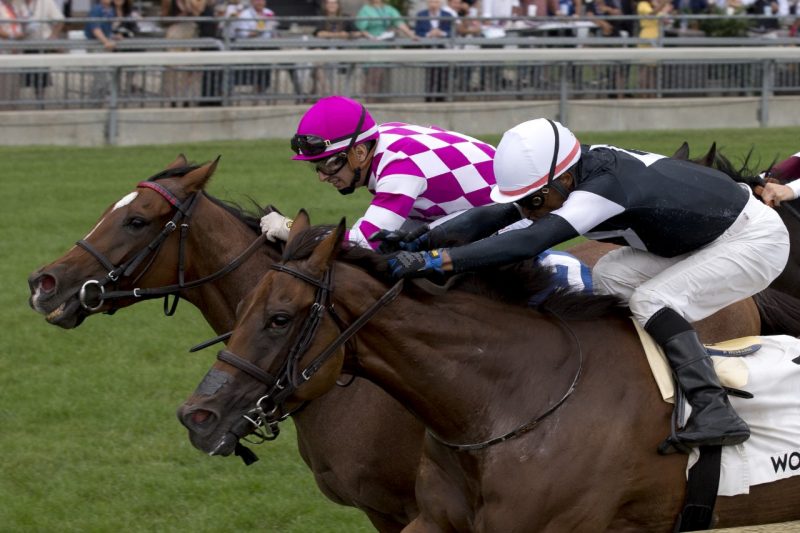 Fev Rover and jockey Patrick Husbands winning The Canadian Stakes at Woodbine on Sunday. 