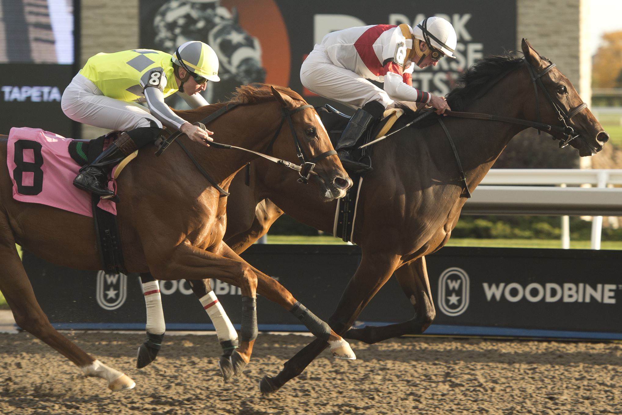 Twin City seeks Coronation Futurity coronation - Woodbine Racetrack