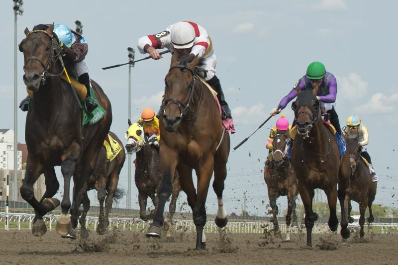Twin City and jockey Gary Boulanger winning the King Corrie Stakes on May 21, 2023 at Woodbine (Michael Burns Photo)