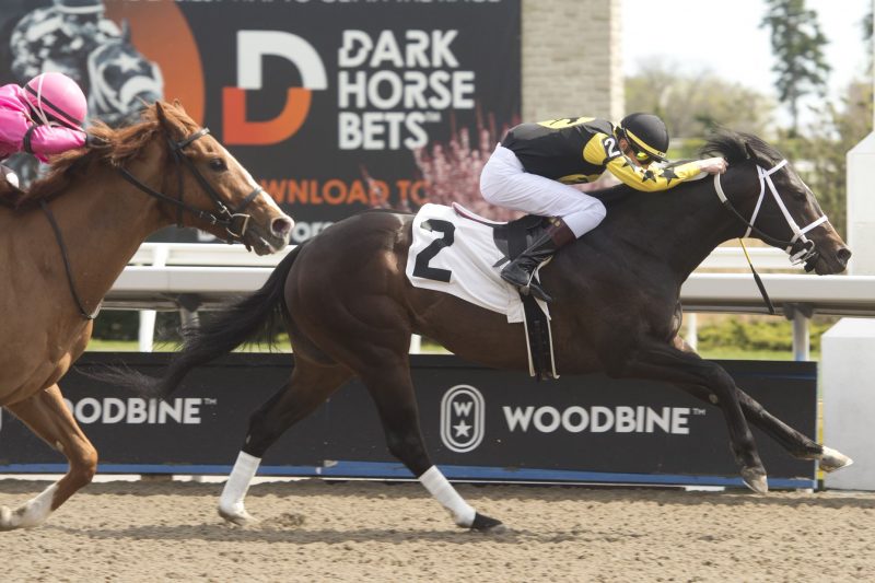 Uncaptured Moment and Declan Carroll winning race 5 on May 6, 2023 (Michael Burns Photo)
