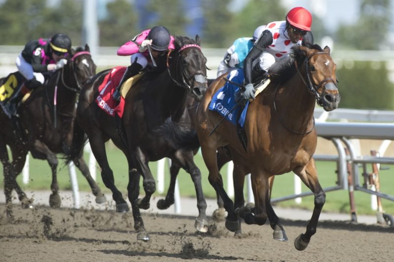 Our Flash Drive and jockey Patrick Husbands winning the Whimsical Stakes on May 13, 2023 at Woodbine (Michael Burns Photo)