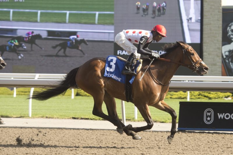Our Flash Drive and jockey Patrick Husbands winning the Whimsical Stakes on May 13, 2023 at Woodbine (Michael Burns Photo)