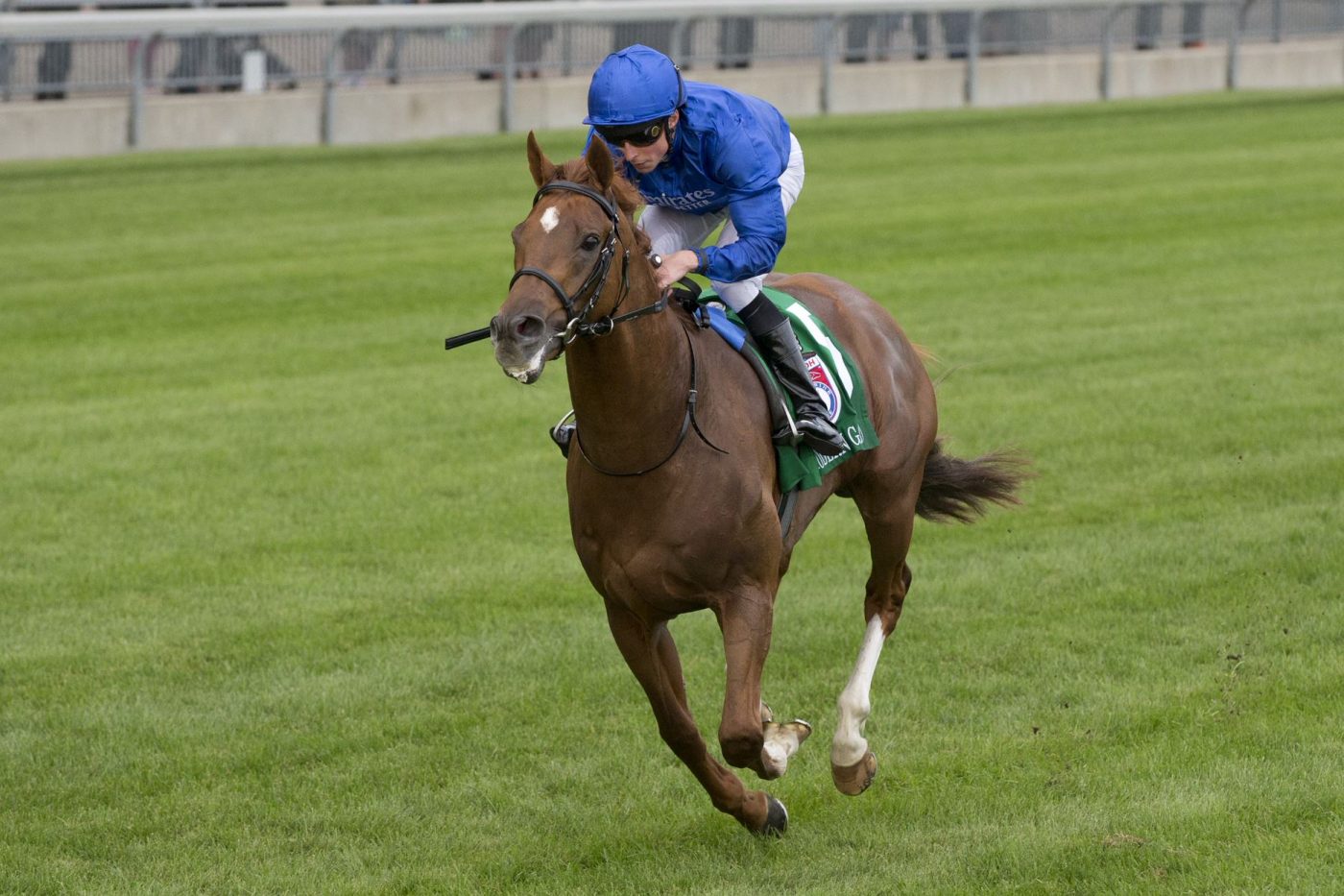 Woodbine launches 2023 turf season Saturday Woodbine Racetrack