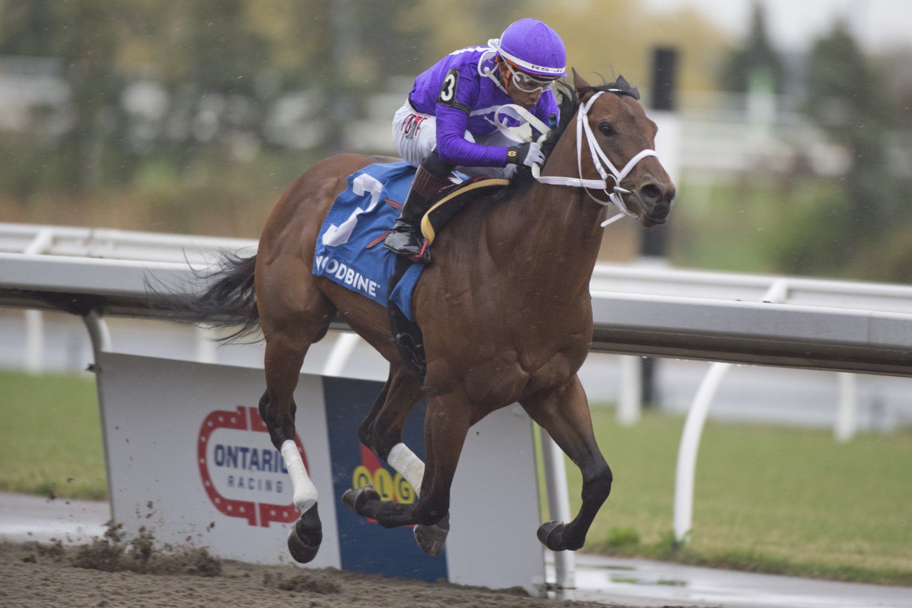 New York Thunder lowers the boom in Woodstock Stakes - Woodbine Racetrack